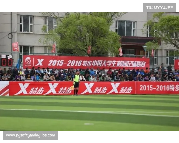 板球经济链潜力激增赞助商争夺青少年赛事冠名权新机遇
